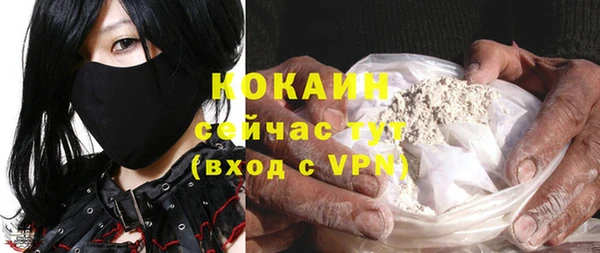 дживик Кулебаки