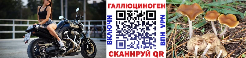Галлюциногенные грибы GOLDEN TEACHER  blacksprut ONION  Элиста 