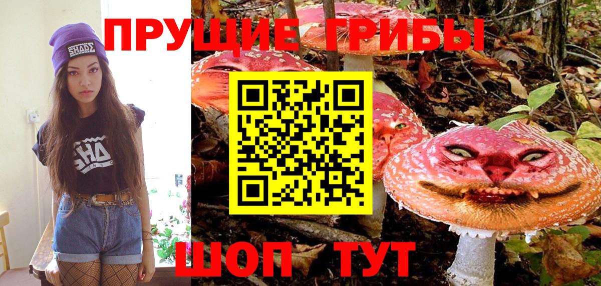 Элиста  Галлюциногенные грибы ЛСД  магазин продажи наркотиков  Псилоцибиновые грибы Psilocybine cubensis  Вход с VPN 