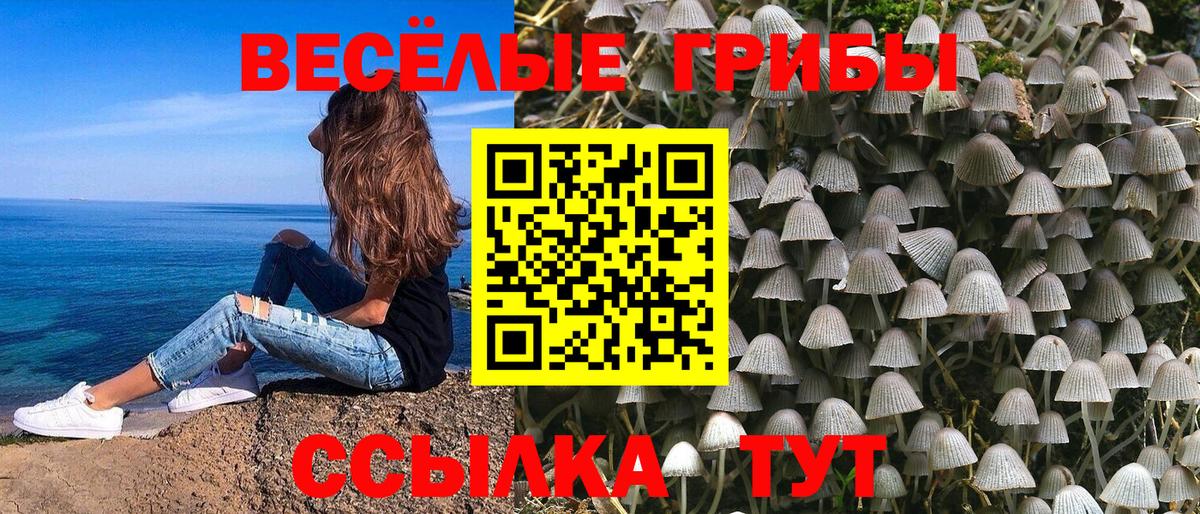 Псилоцибиновые грибы Magic Shrooms Элиста