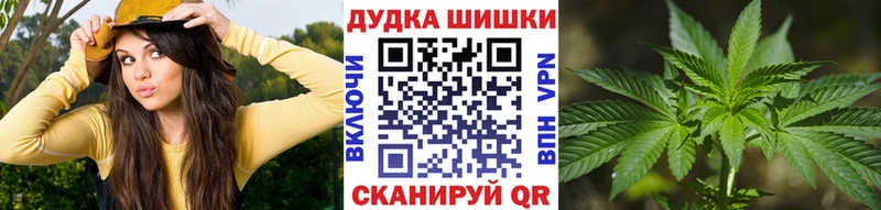 mega маркетплейс  где можно купить наркотик  Элиста  Канабис AK-47 